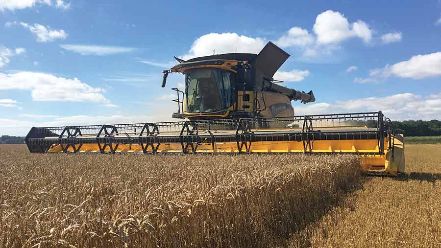 Crusoe winter wheat being harvested by WJ & R Bayly Farms, Dover, Kent, coming off at 14% moisture and yielding more than 10t/ha