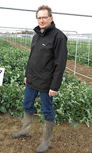 Dr Detlef Hauska, DSV senior oilseed rape breeder