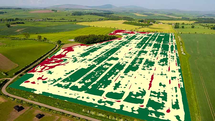 False colour map of field taken by drone