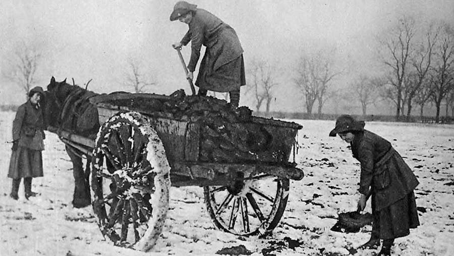 A black-and-white photograph showing a girl standing on a cart. She is shovelling manure on to a field while other girls work next to her