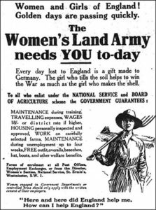 A poster for the Women's Land Army. The headline reads: "Women and girls of England. Golden days are passing quickly. The Women's Land Army needs you today." It continues; "Every day lost to England is a gift made to Germany. The girl who tills the soil helps to win the war as much as the girl who makes the shell. To all who enlist under the National Service and Board of Agriculture scheme the government guarantees: maintenance during training, travelling expenses, wages 18/- or district rate if higher, housing personally inspected and approved, work on carefully selected farms, maintenance during unemployment up to four weeks, free outfit, overalls, breeches, hat, boot and other welfare benefits."  