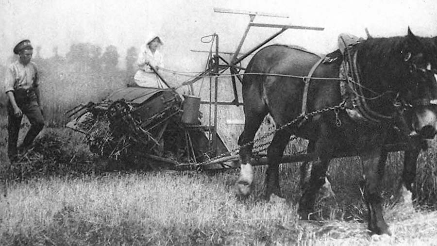 A black-and-white photo of a woman reaping while a soldier walks along side