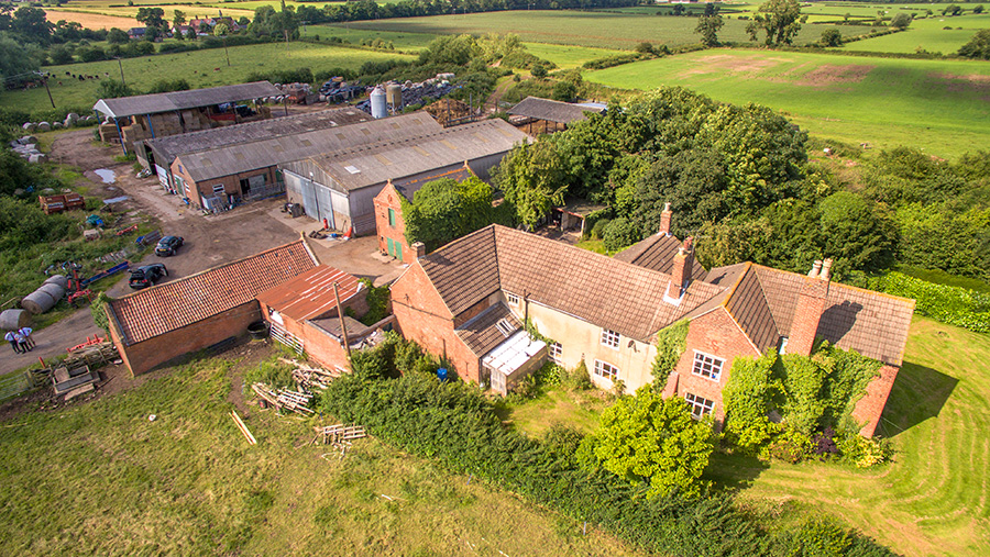 Five Oaks Farm