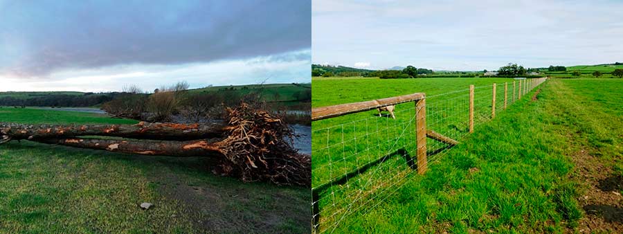 Before and after - Camp House Farm near Lancaster has benefited from the Farming Recovery Fund