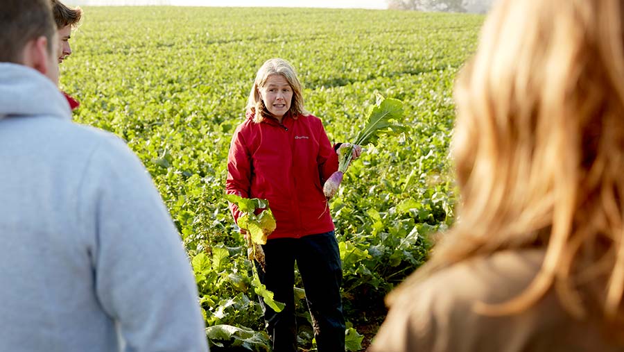 Students in field