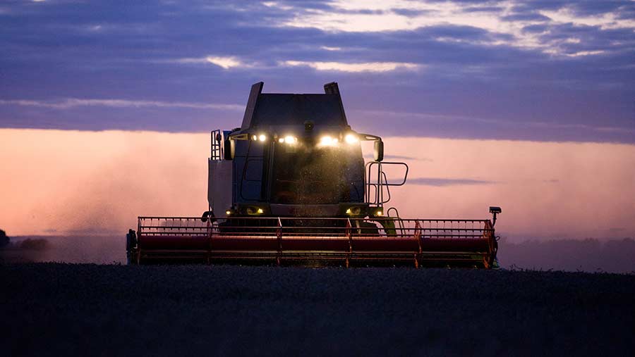 Wheat being harvested at dusk