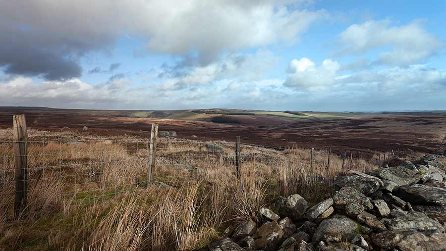 Young farmer wins 'dream job' to manage 900ha farm - Farmers Weekly