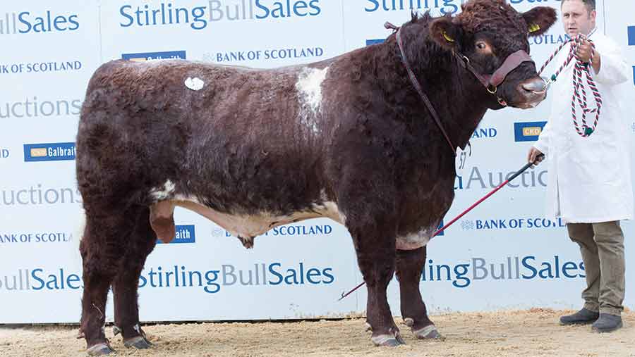 Rumsden Harry
