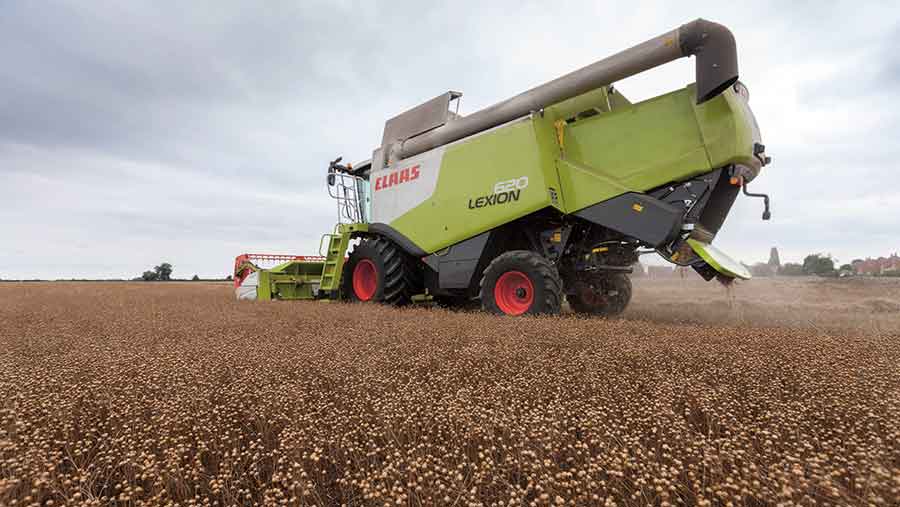 Linseed being harvested