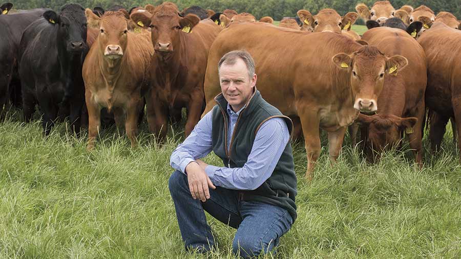 Robert Neil with cows