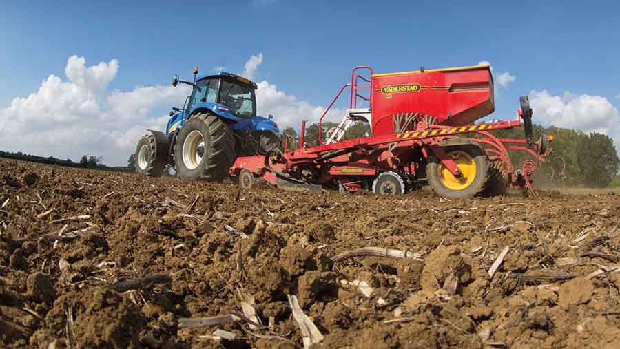 drilling winter wheat