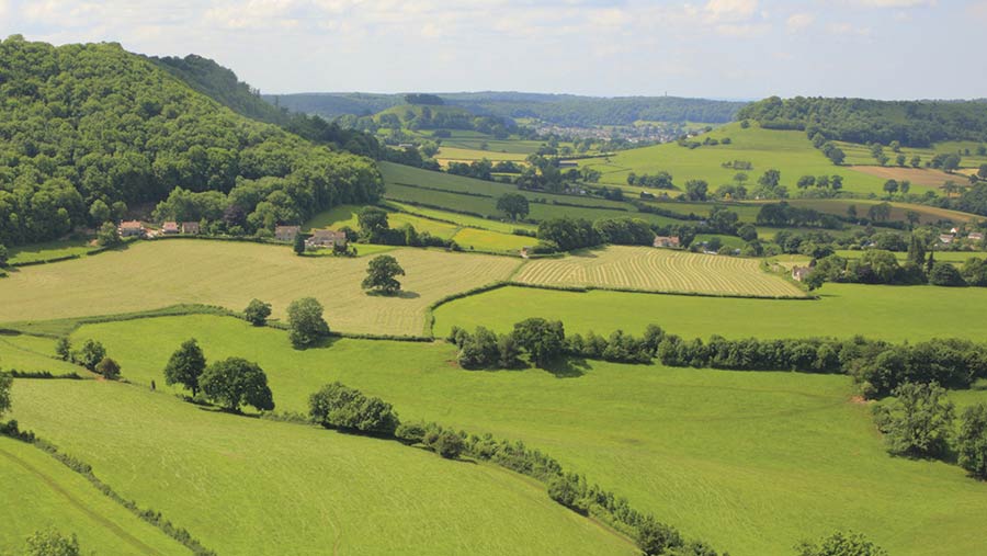 farmland in UK