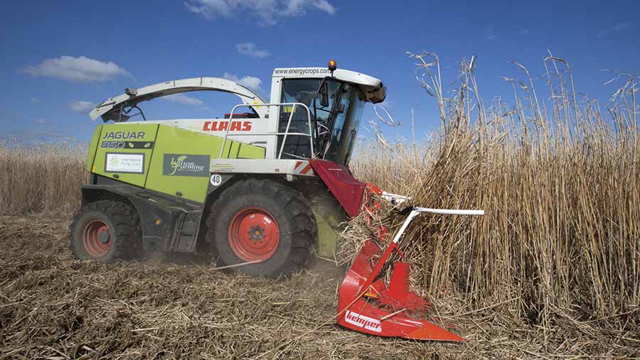 miscanthus harvesting