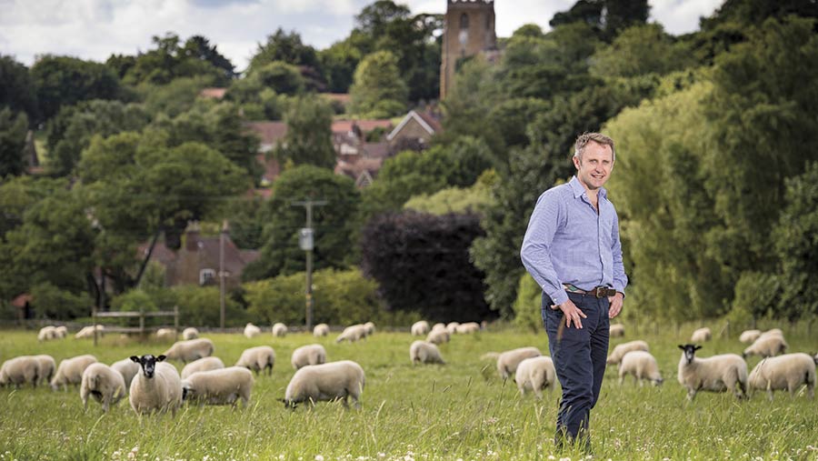 Chris Baylis in a field with sheep