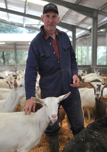 Meirion-Evans-with-milking-goats2-no-credit