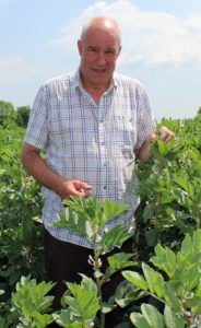 Suffolk grower Michael Craske