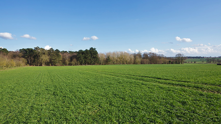 Mintlyn Farm