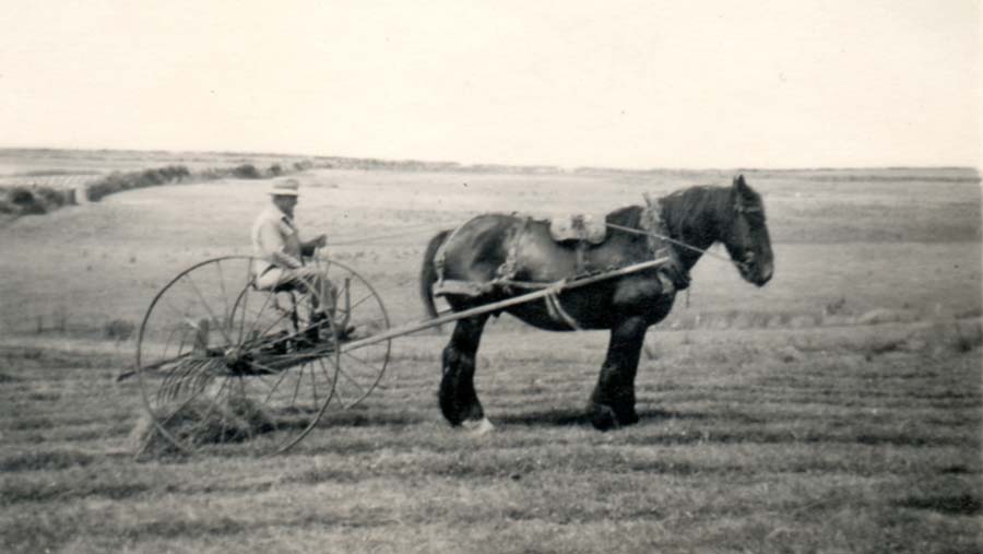 Gilbert Charles on a hay-binder