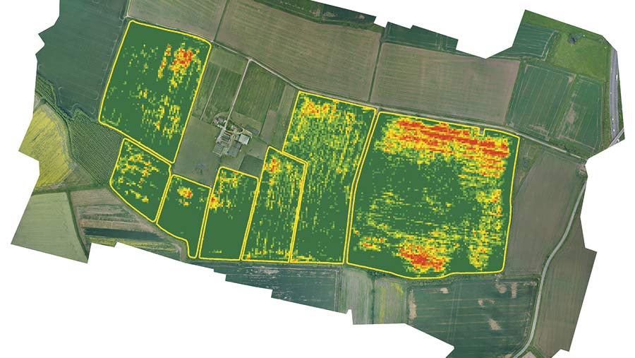 Aerial map showing Blackgrass density in crop