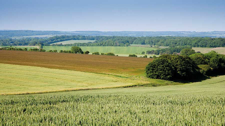 Ovington Down Farm