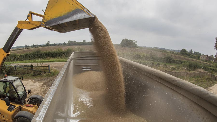 Loading grain