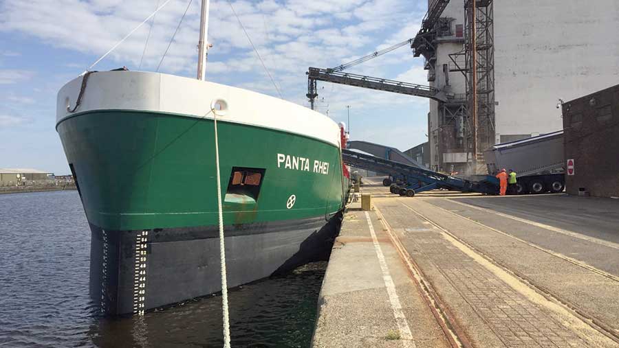 Panta Rhei grain carrier