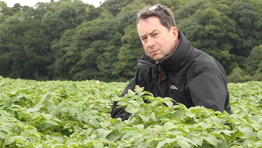 Peter Blaylock in potatoes