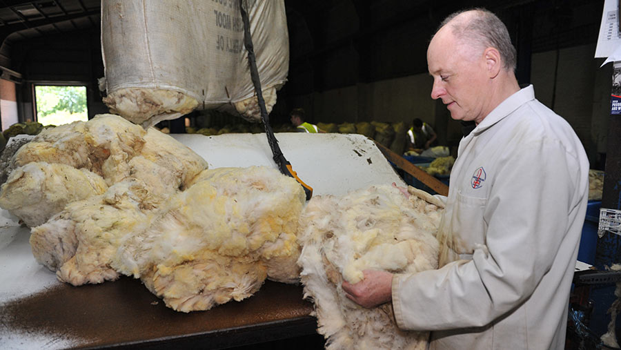 Peter Penlington with a fleece at the British Wool depot