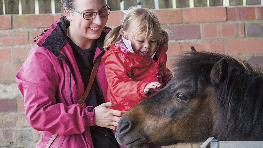 A young girl strokes a pony