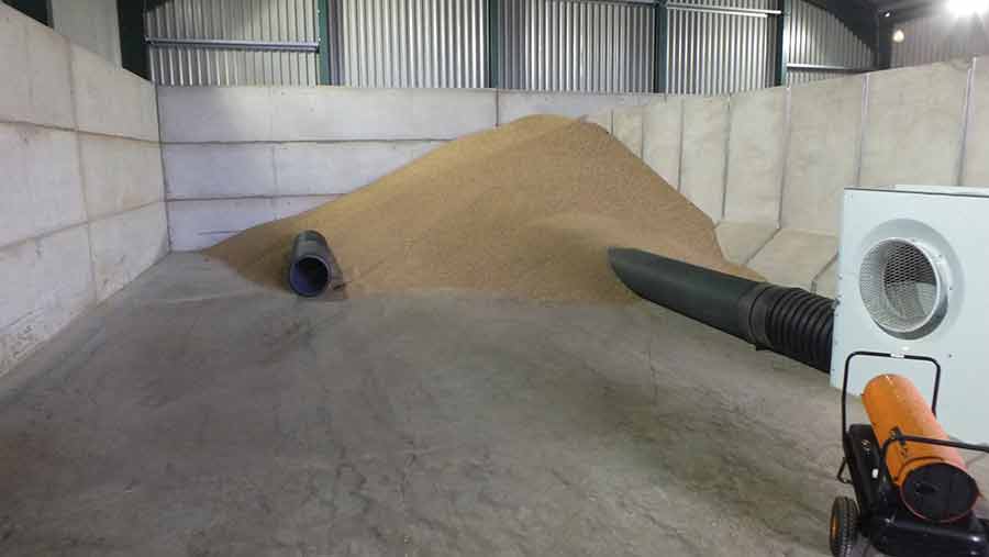 grain drying system