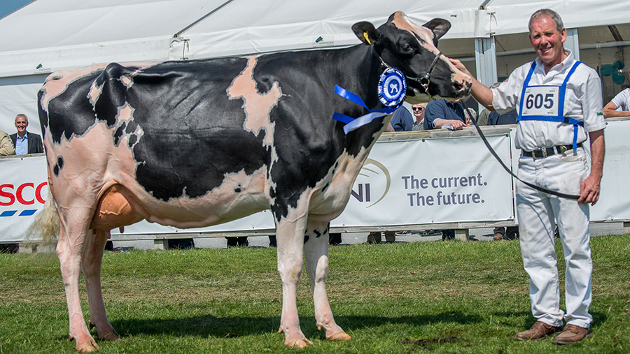 Kilwarden Windbrook Vix Ex90