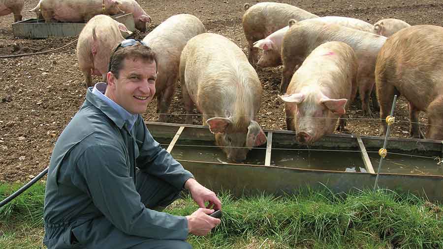 Richard Pearson kneeling with pigs in field