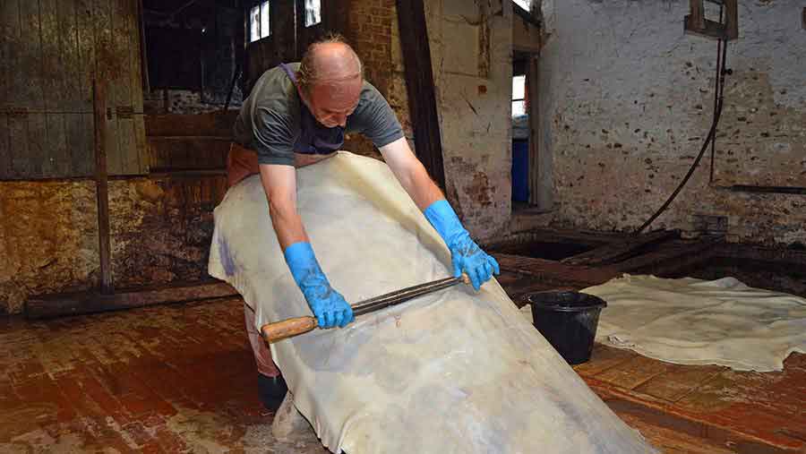 Roger Tucker dehairing a calf hide by hand