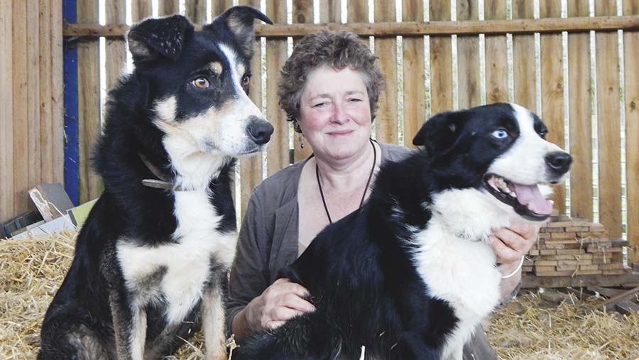 Sarah Jenkins with two dogs