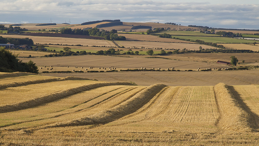 Scottish farmland