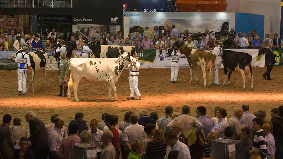 general view of show