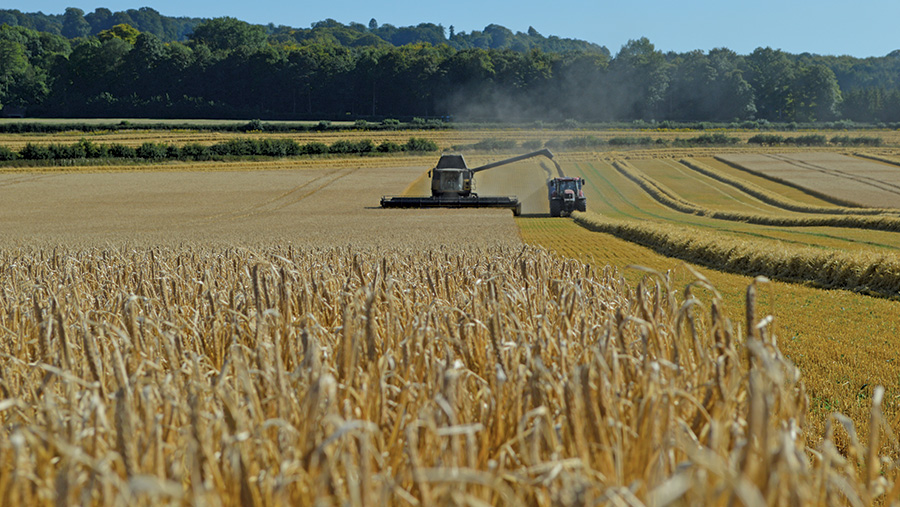 Spring barley being harvested