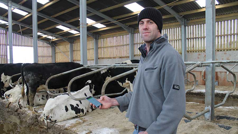 Steve-Middleton in a shed with his cows