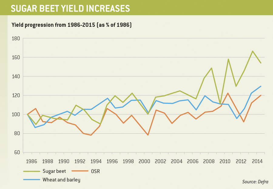 sugar beet graph