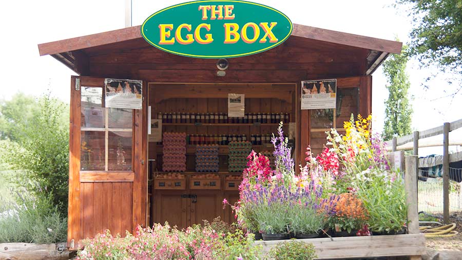 The Egg Box