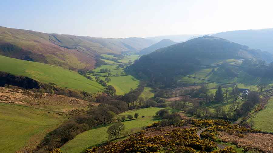 Towy Valley