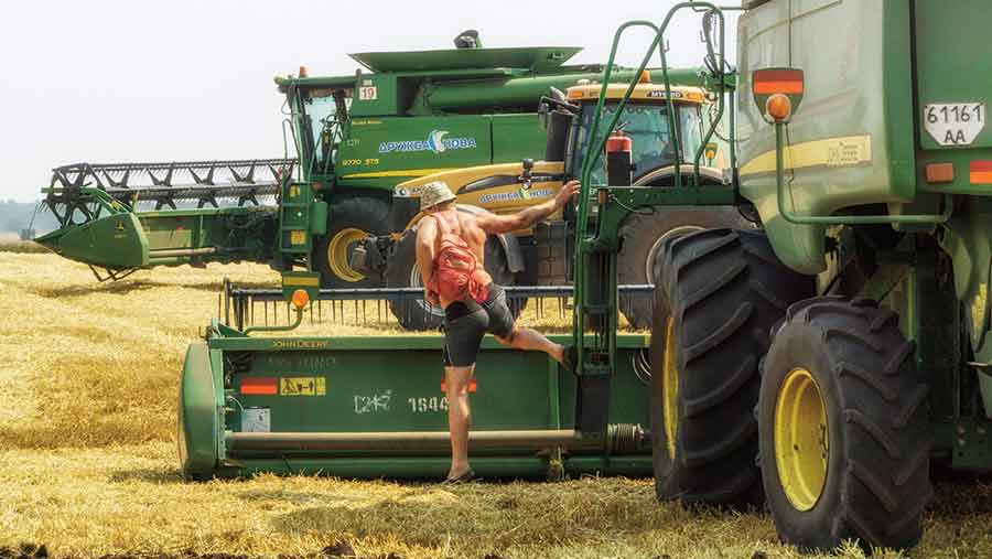 Harvest in Ukraine