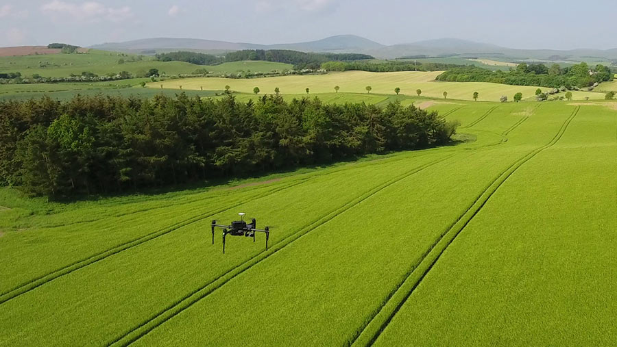 Drone flying over crop
