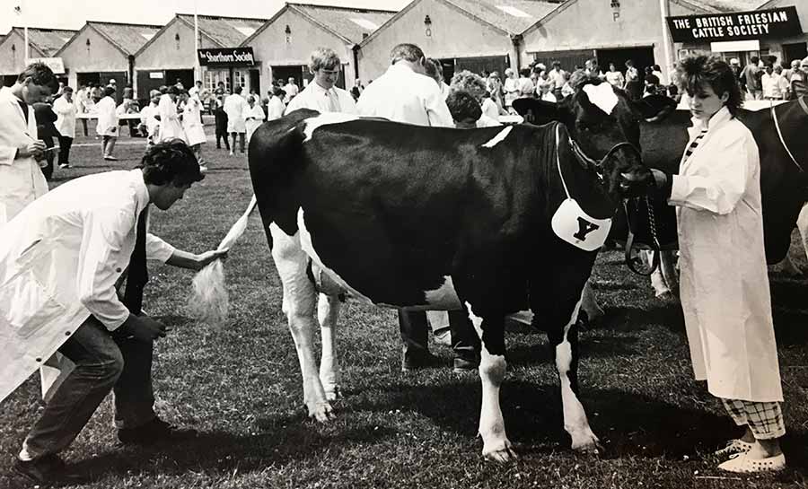 Dairy judging 1987