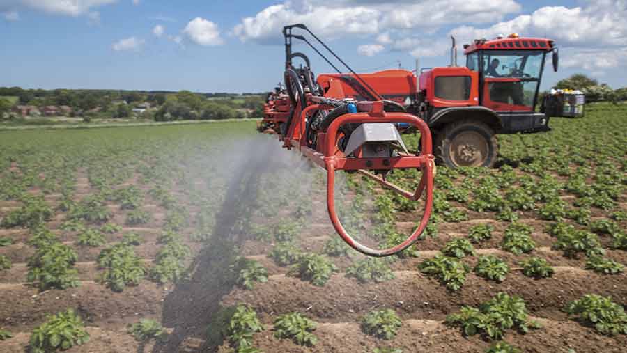 blight spraying potatoes