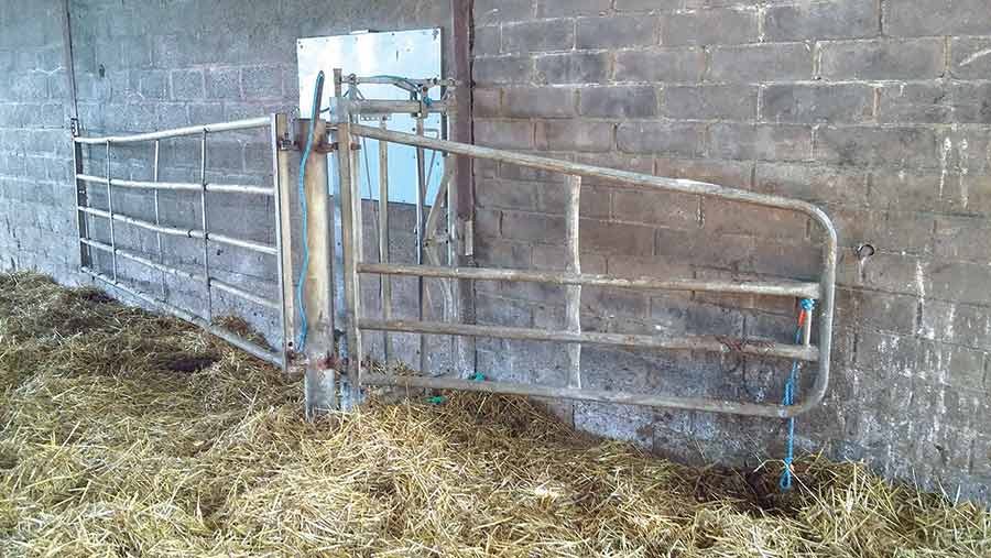 A calving gate