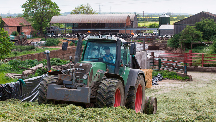 Clamp being rolled on a dairy farm