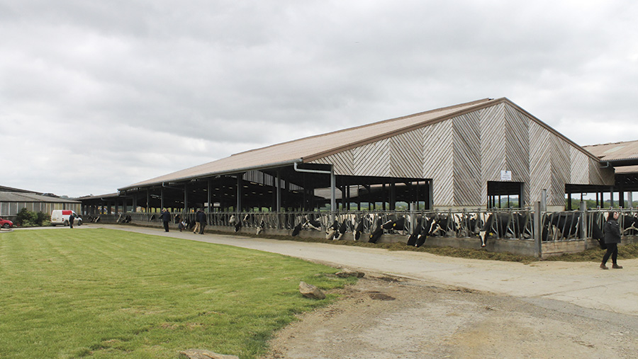 Cow sheds