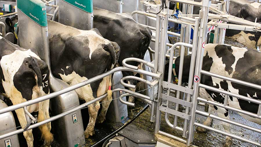 entrance_detail_milking_parlour--photo-Geoff-Pagotto