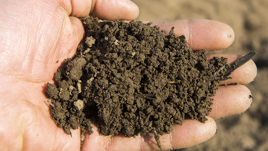 Hand holding soil